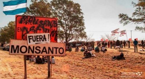 fuera_monsanto.jpg