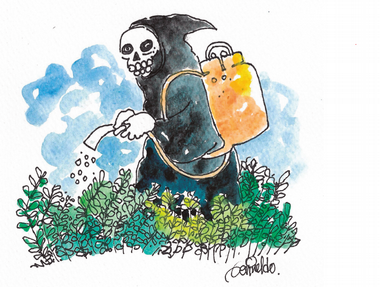 glifosato_muerte.png glifosato_muerte.png