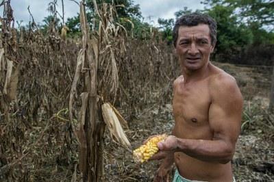 Foto: Arison Jardim/ Secom agricultor sofre com mudanças