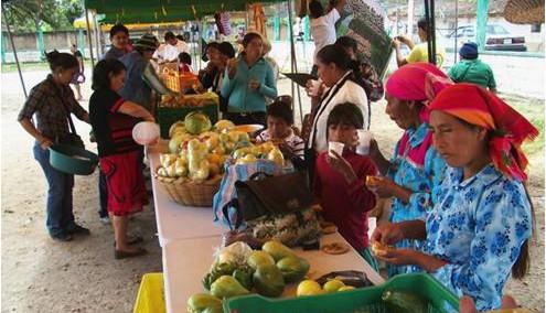 Foto: Red COMAL Honduras productos campesinos