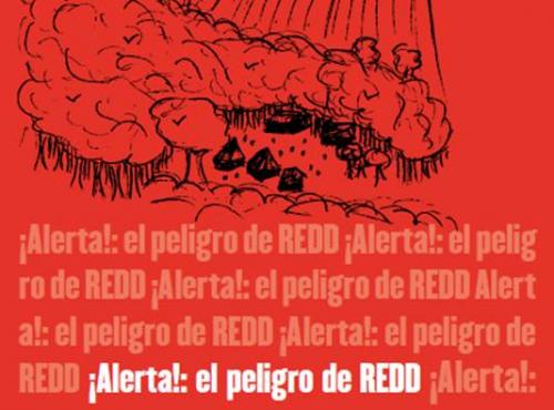  el peligro de REDD