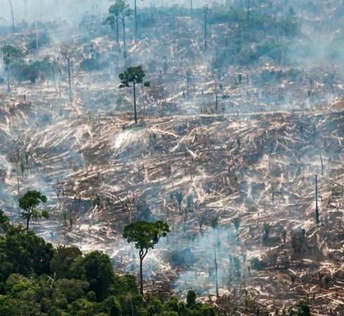 Amazonas: El infierno detrás del incendio