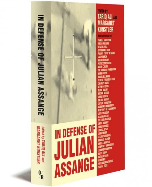 in-defense-of-assange_3d-cvr_lores-1_375x640.jpg