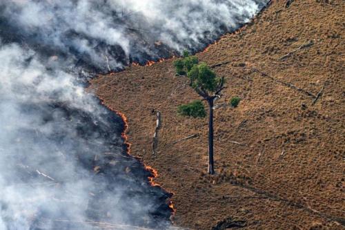 incendio_amazonia.jpg