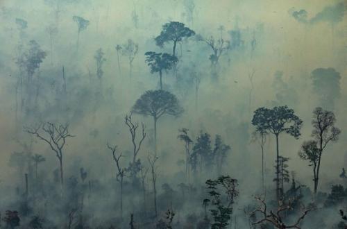 incendios-amazonia-brasil.jpg