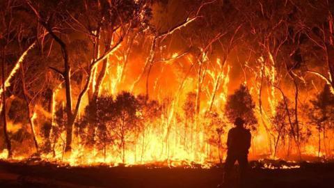 incendios_ambiente.jpg