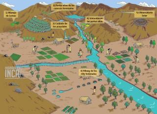 manejo-del-territorio-2_mobile.jpg