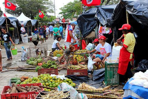 mercado_de_alimentos.jpg