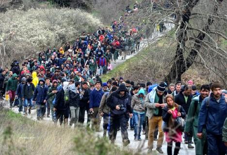  migracion en europa mobile