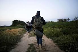 migrantes caminando acnur migrantes caminando acnur