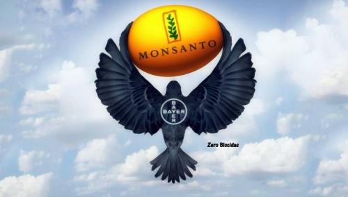 monsanto bayer