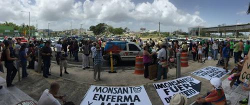 Foto: Jesús Vázquez monsanto enferma   jesus vazquez