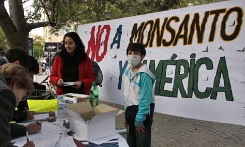 Noticias ambientales no a monsanto noticias ambientales