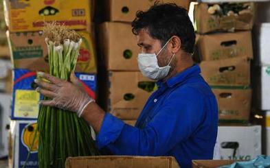 pandemia_laboral_mexico.jpg