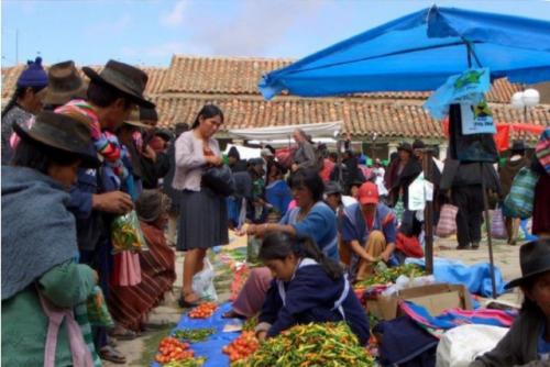 portada_estudio_cepr_bolivia.jpg