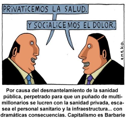 privatizar_la_salud_pequeno.jpg