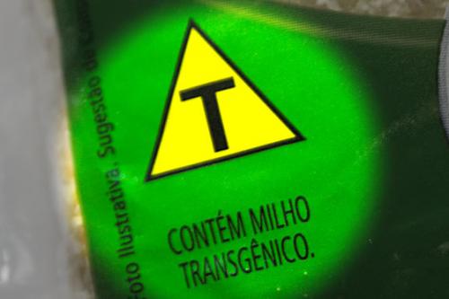  rotulo milho transgenico