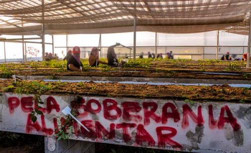  soberania alimentaria