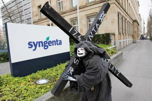 syngenta.jpg