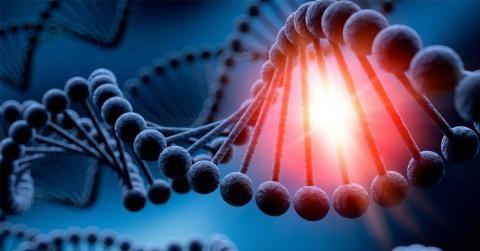 tecnologia_genetica.jpg tecnologia_genetica.jpg