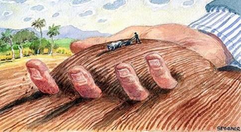 tierra-agricultura-mano.jpg tierra-agricultura-mano.jpg
