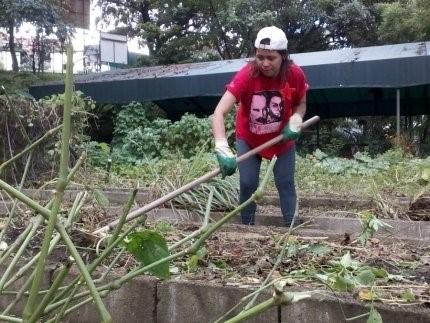 trabajo_campesino_venezuela.jpg