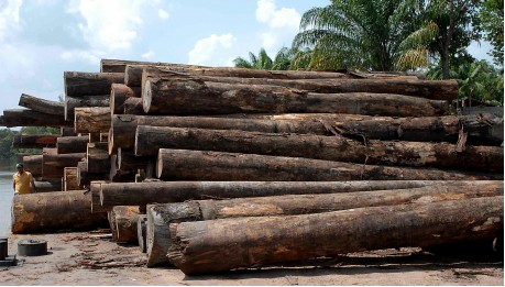 troncos_de_madera.png troncos_de_madera.png