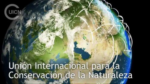 Foto: UICN, trabajamos en más de 160 países por las conservación union