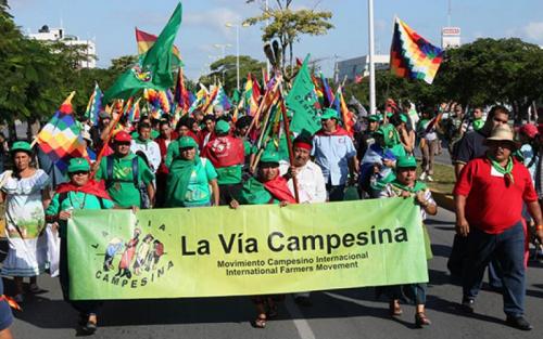 via-campesina.jpg