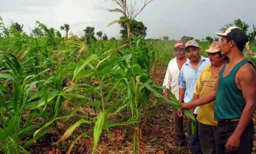 yucatan_campesinos.jpg